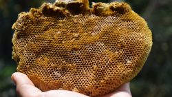 فوائد شمع العسل للبشرة في علاج المُشكلات والتخلص من البقع