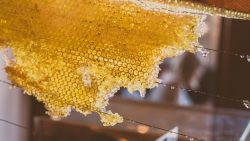 فوائد عسل النحل للبشرة وأهم الفيتامينات والمعادن