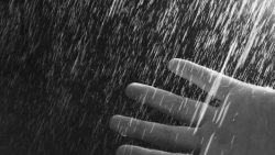 تفسير حلم المطر للمرأة والرجل وبيان الدلالات التي تشير إليها